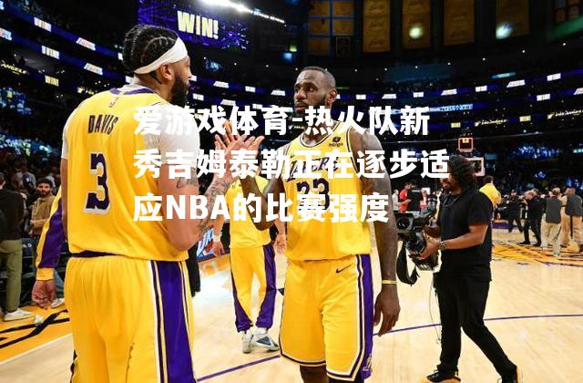 热火队新秀吉姆泰勒正在逐步适应NBA的比赛强度